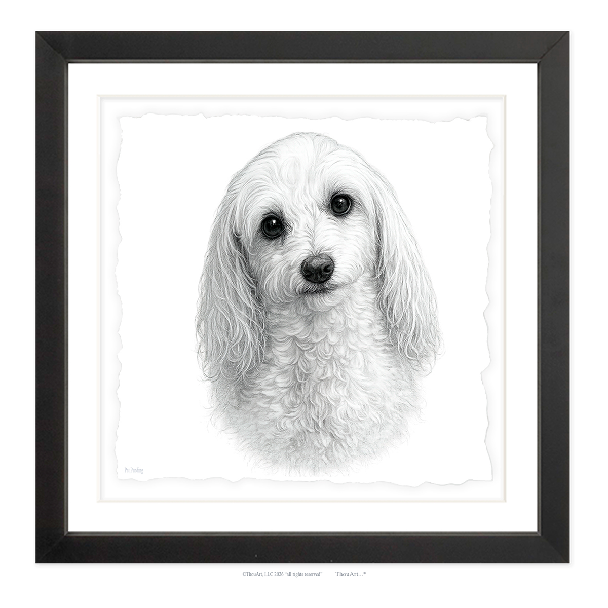 Maltipoo