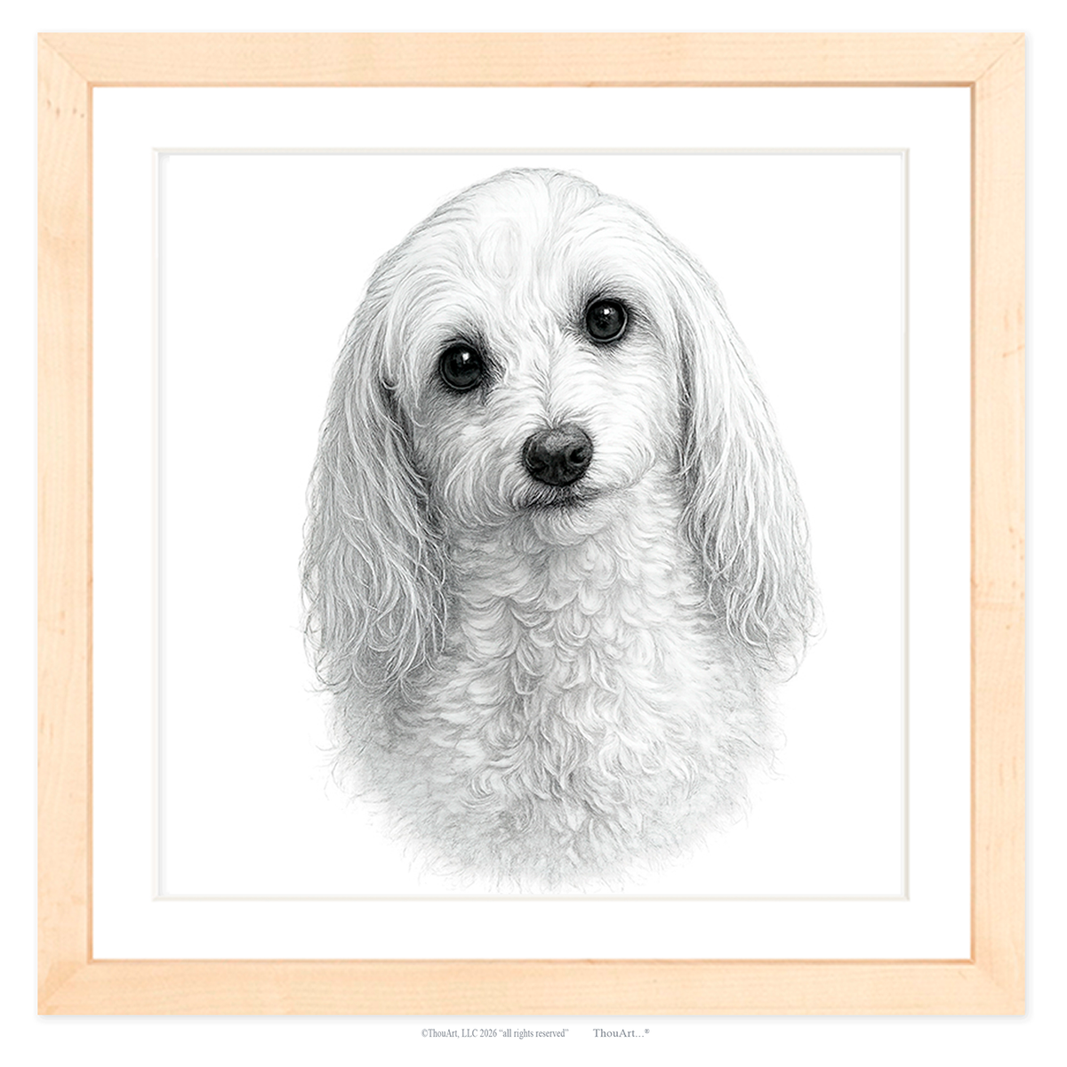Maltipoo