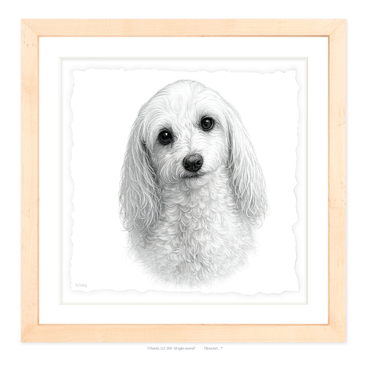 Maltipoo