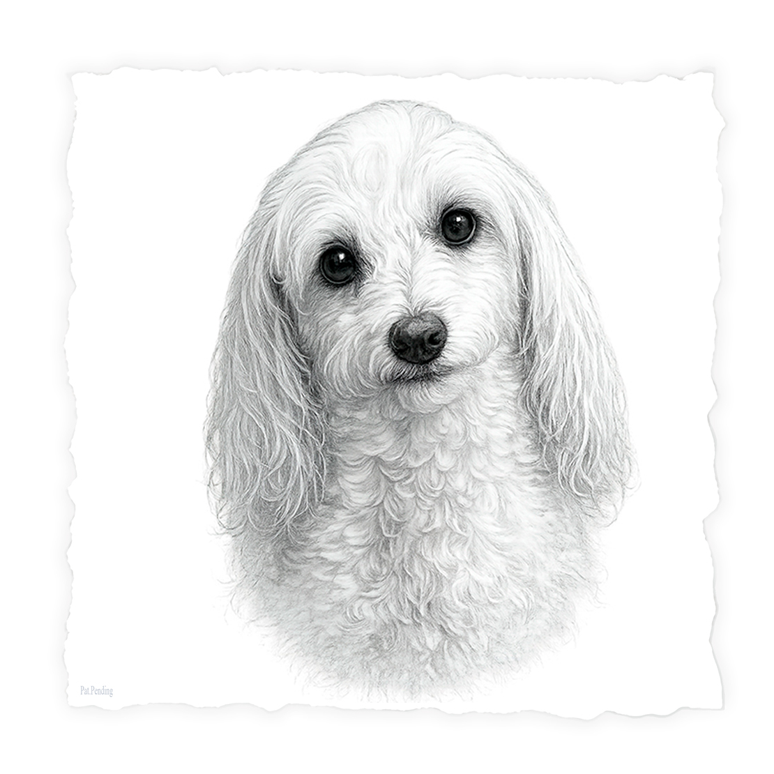 Maltipoo