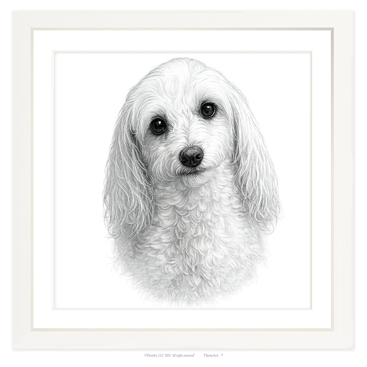 Maltipoo