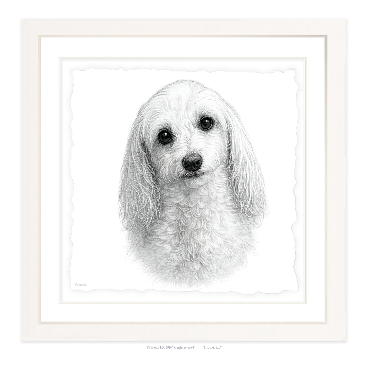 Maltipoo