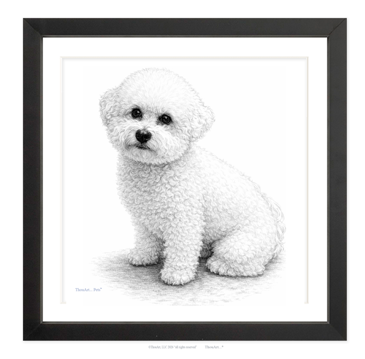 Bichon Frise from ThouArt...Pets TM