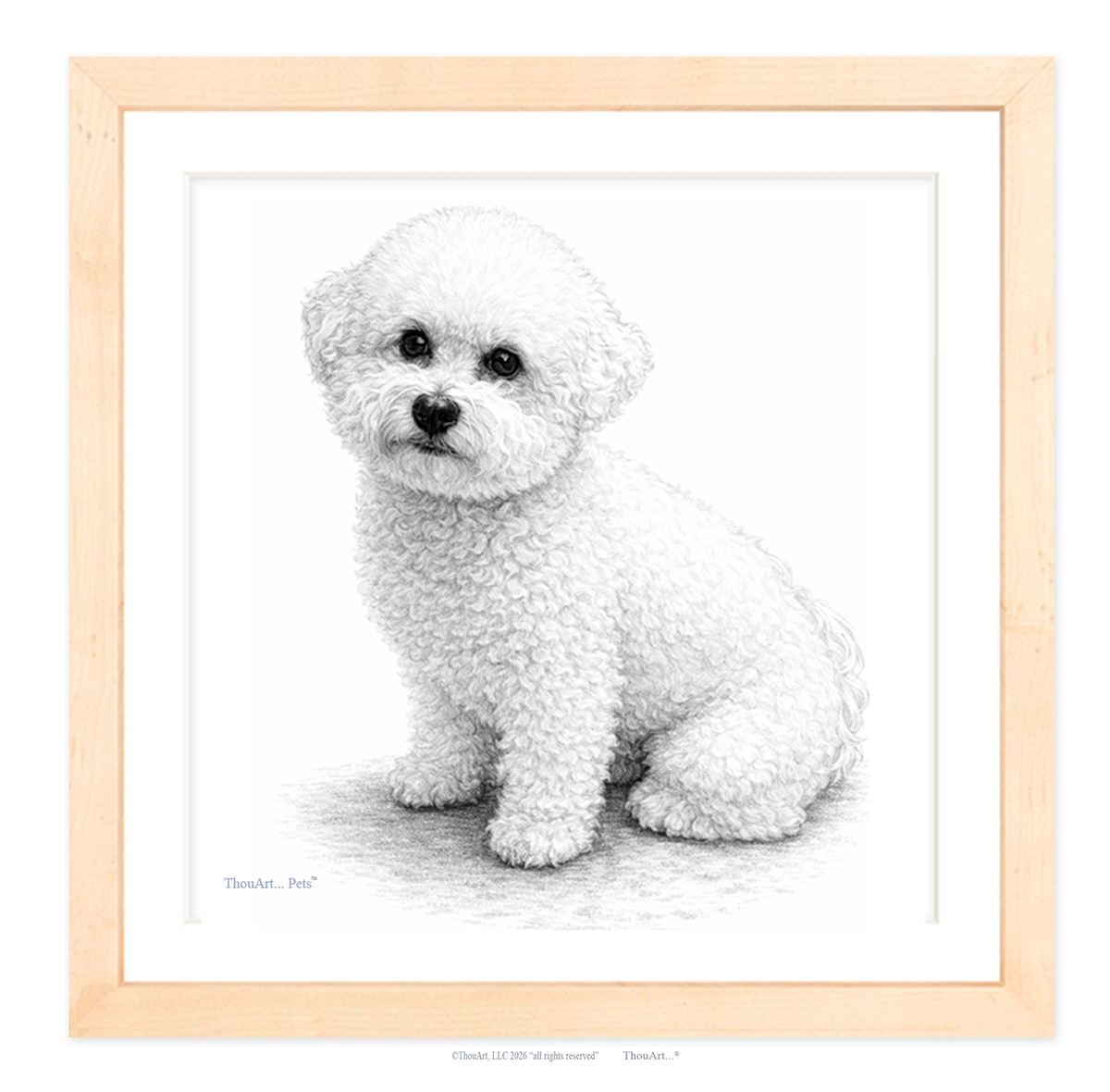 Bichon Frise from ThouArt...Pets TM