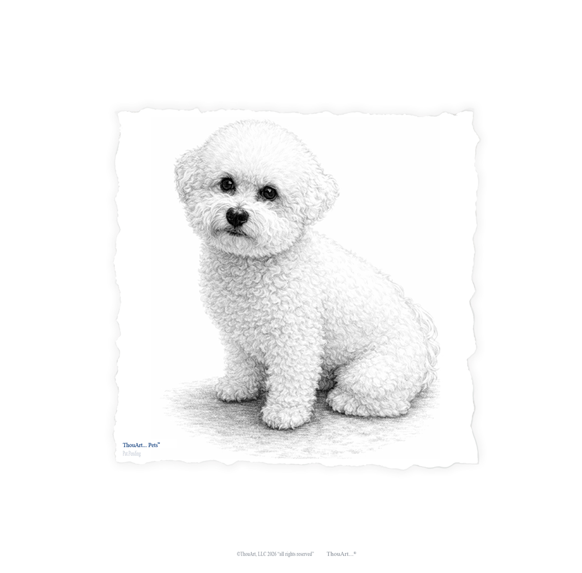 Bichon Frise from ThouArt...Pets TM