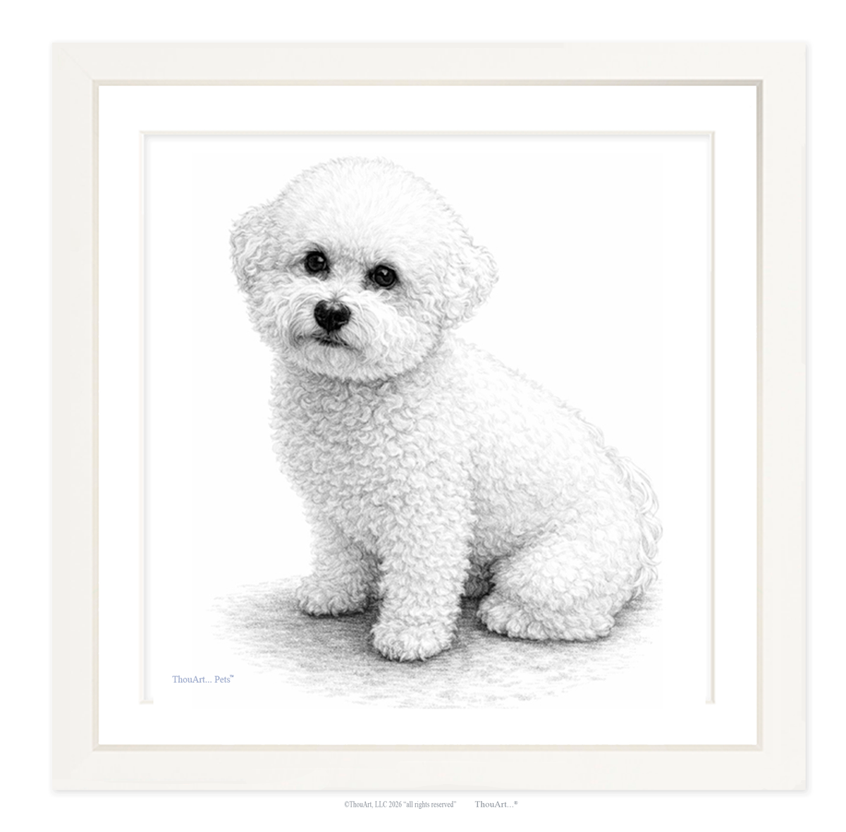 Bichon Frise from ThouArt...Pets TM