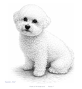 Bichon Frise from ThouArt...Pets TM