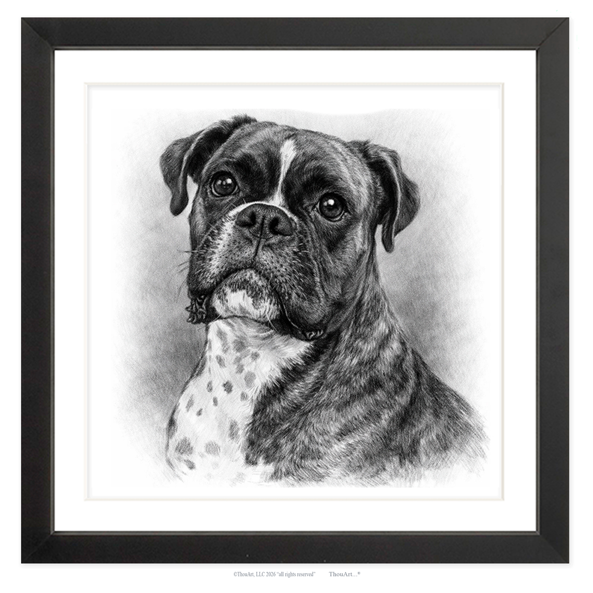 Boxer