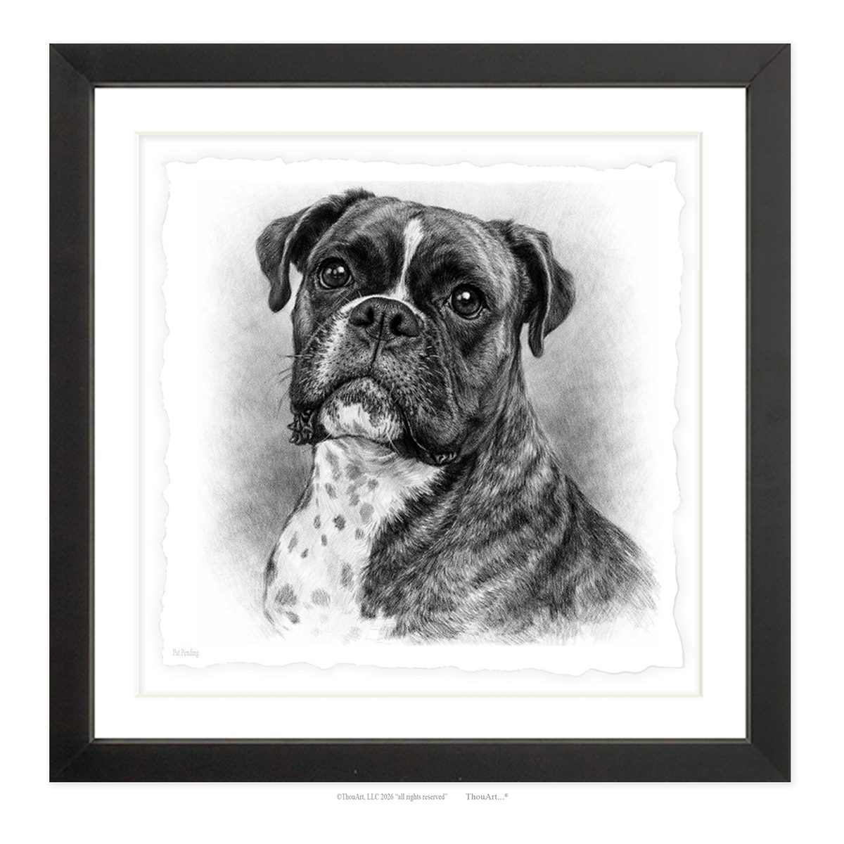 Boxer