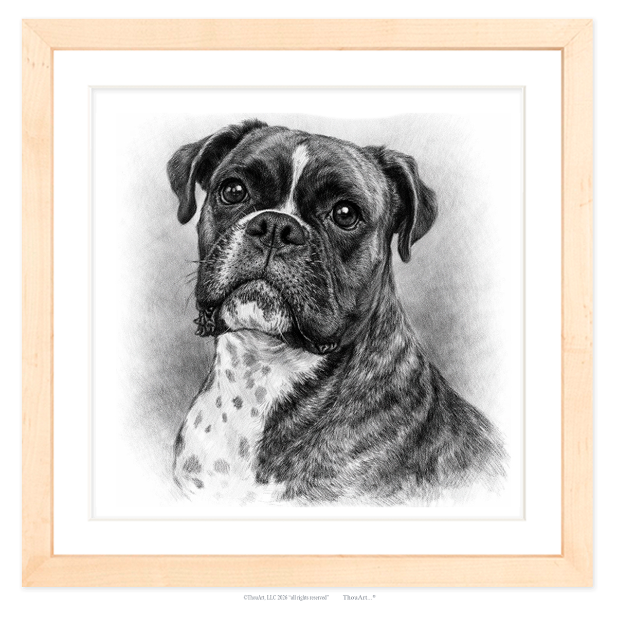 Boxer
