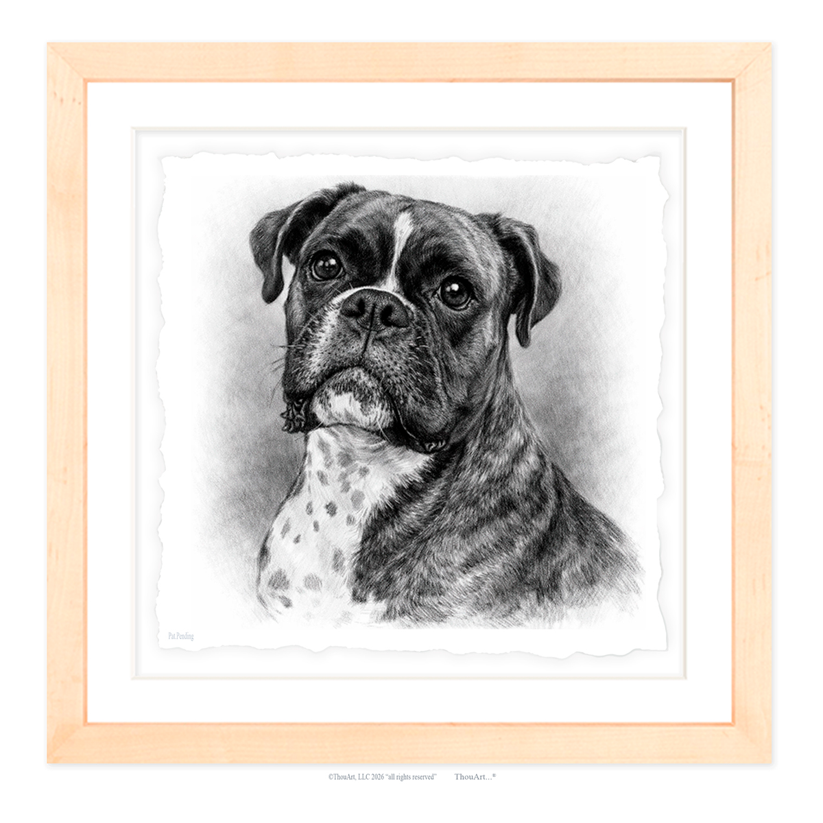 Boxer