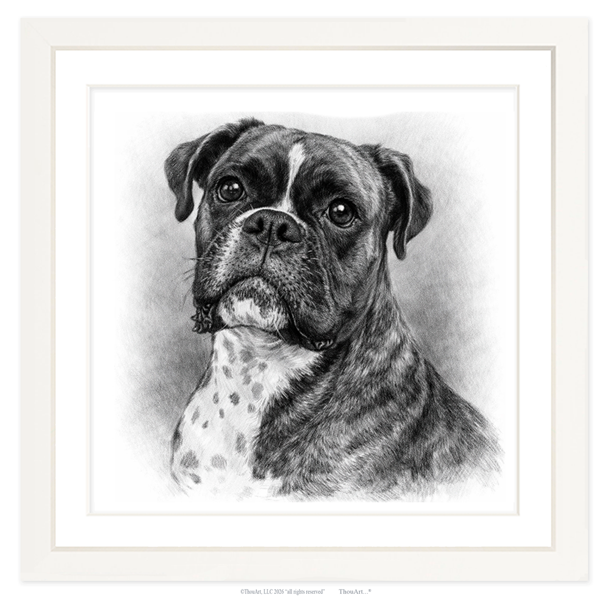 Boxer