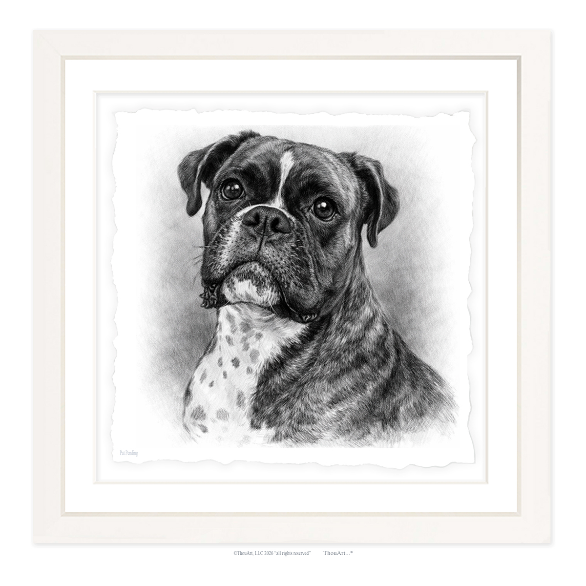 Boxer