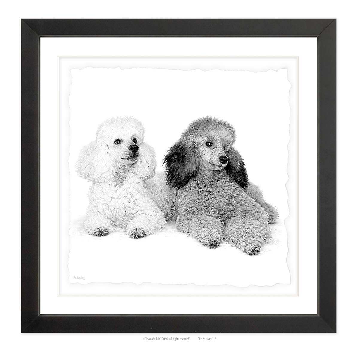 Poodles
