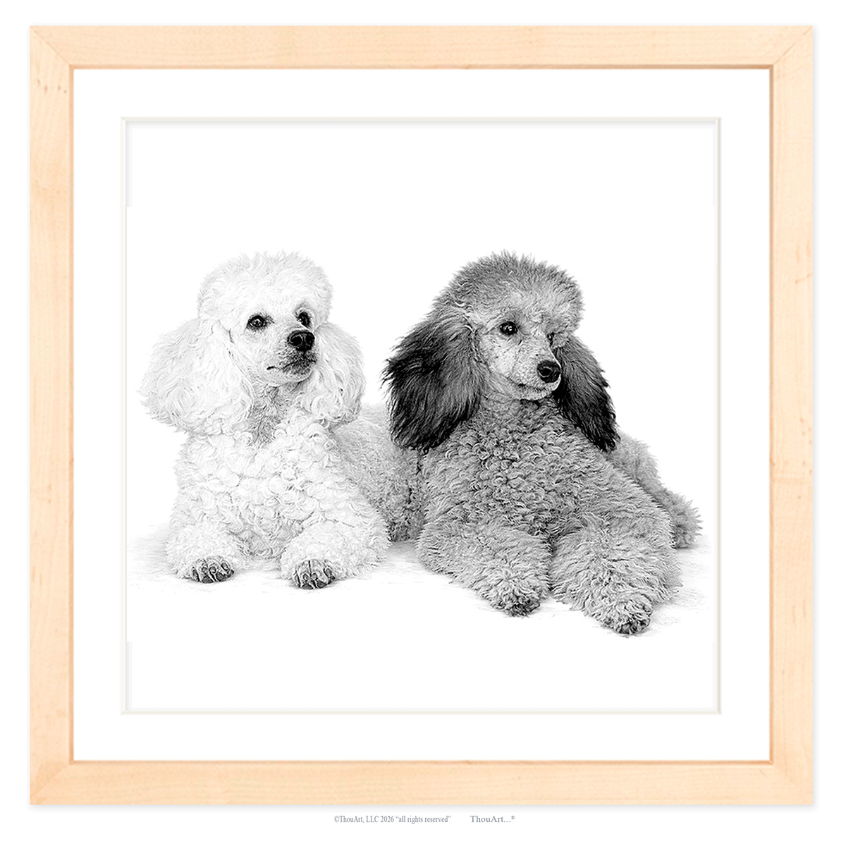 Poodles