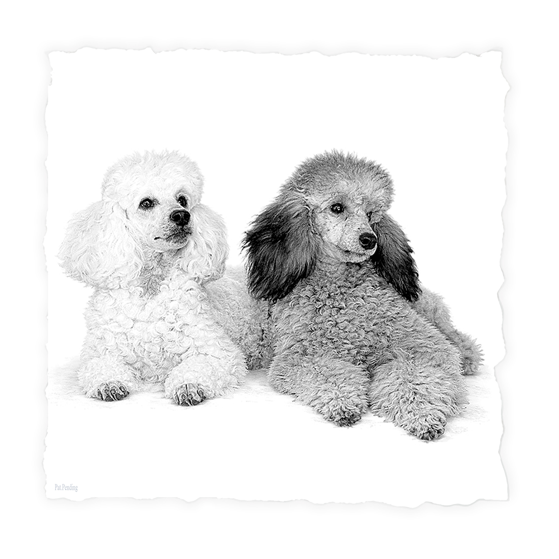 Poodles