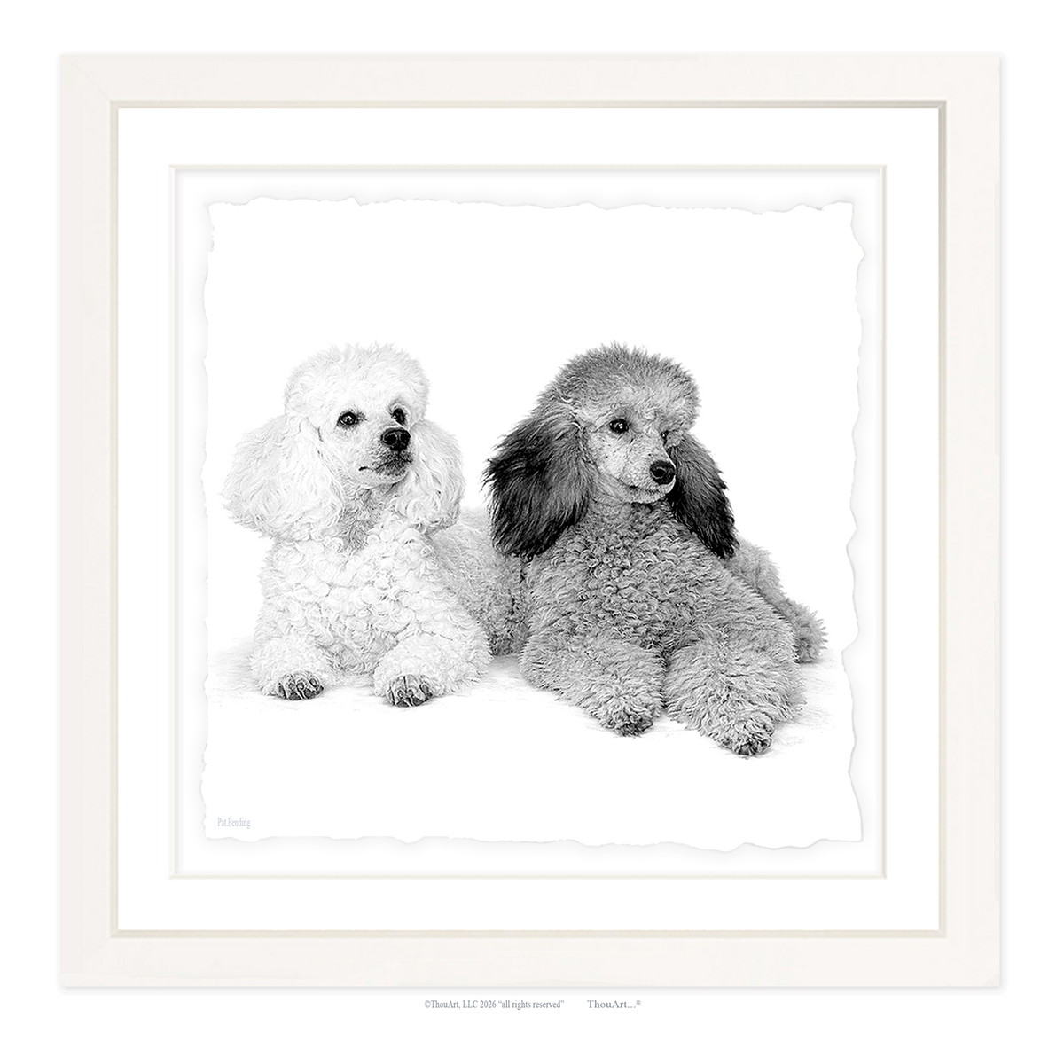 Poodles