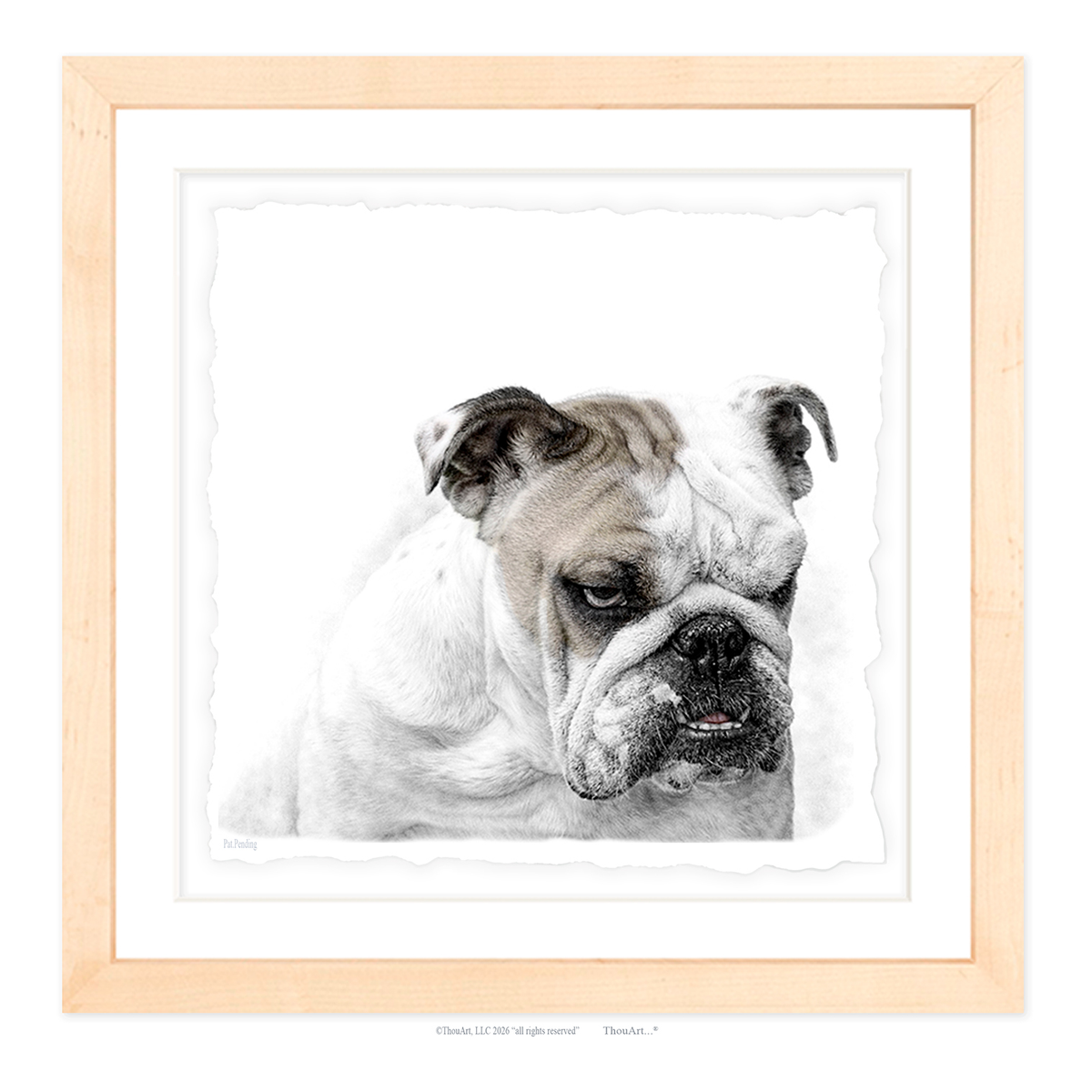 English Bulldog
