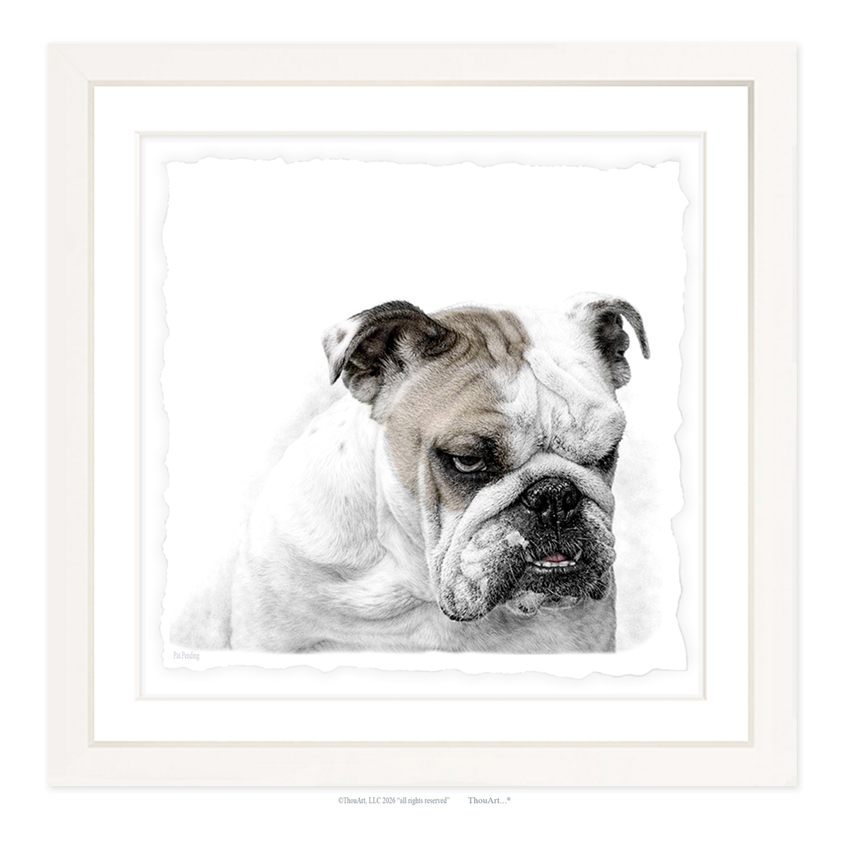 English Bulldog