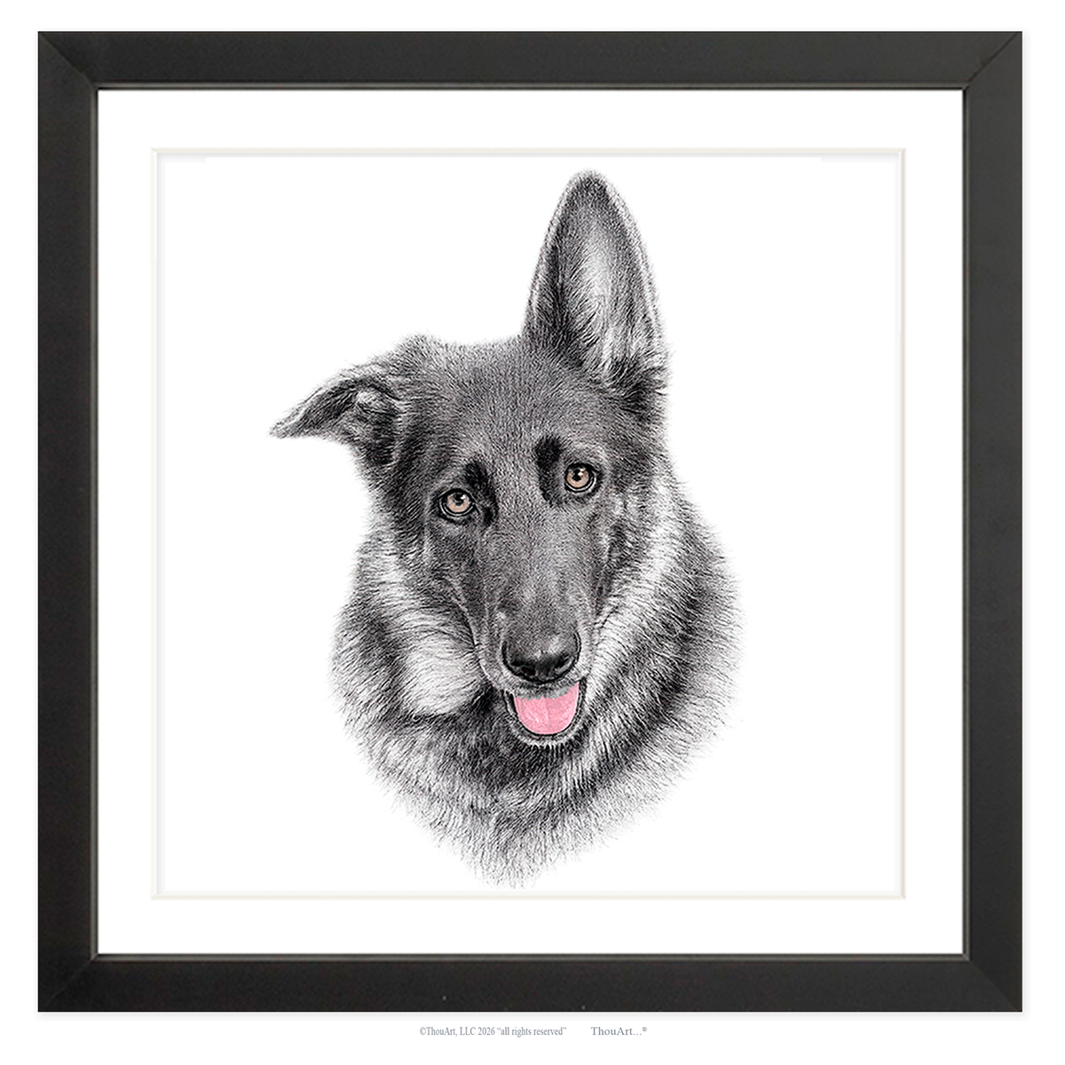 German Shepherd