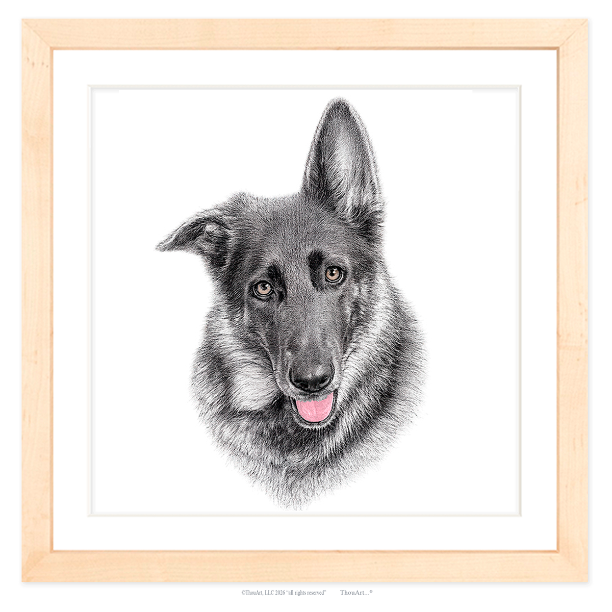 German Shepherd