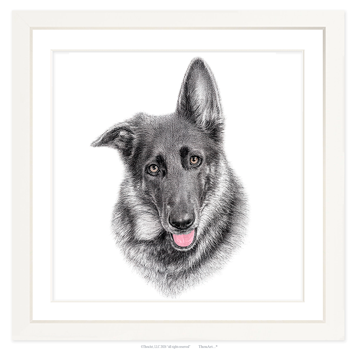 German Shepherd