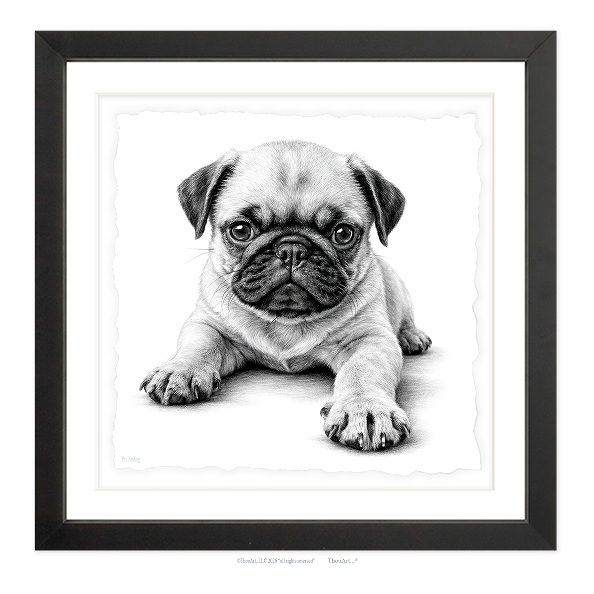 PUG Puppy