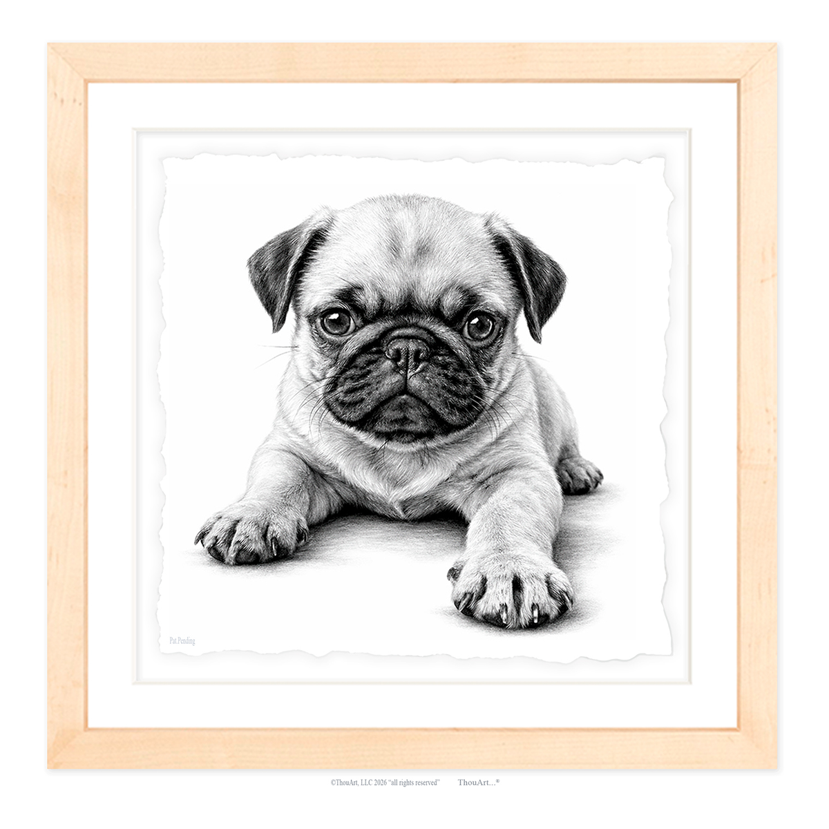 PUG Puppy