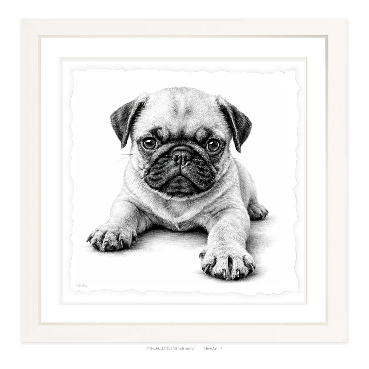 PUG Puppy
