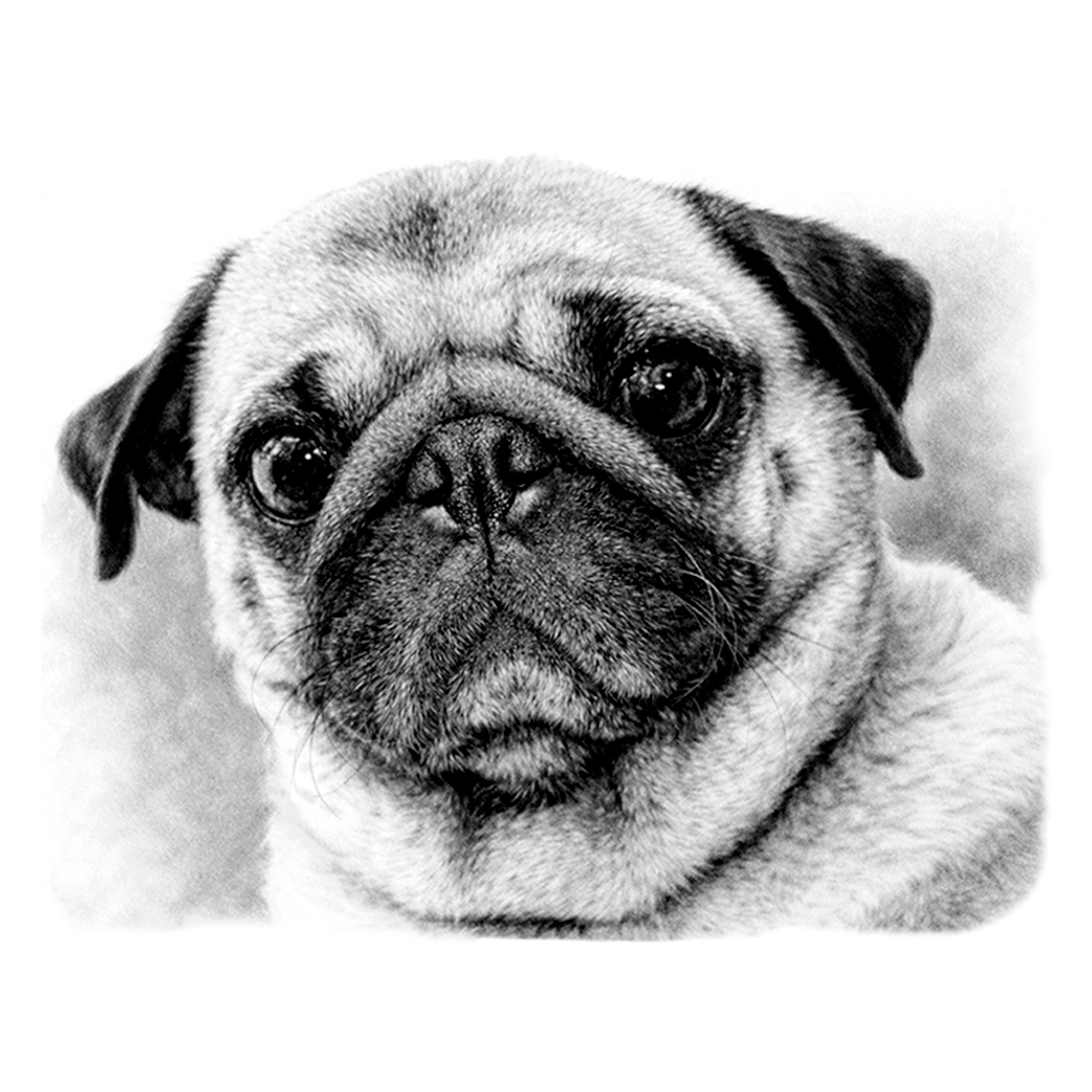 PUG