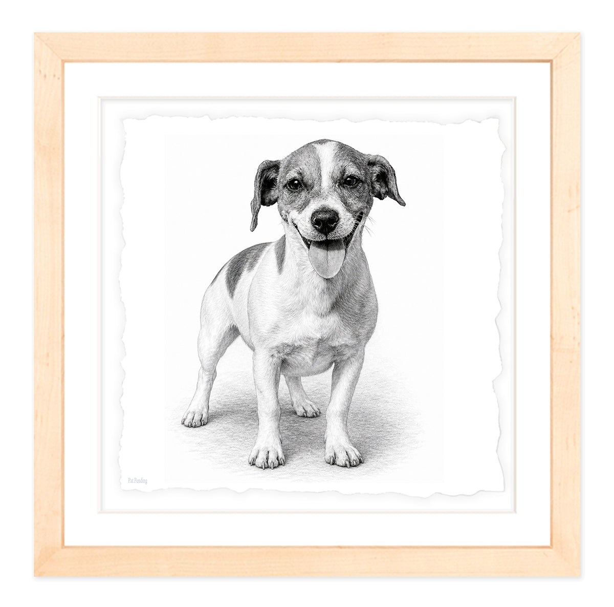 Jack Russell Terrier