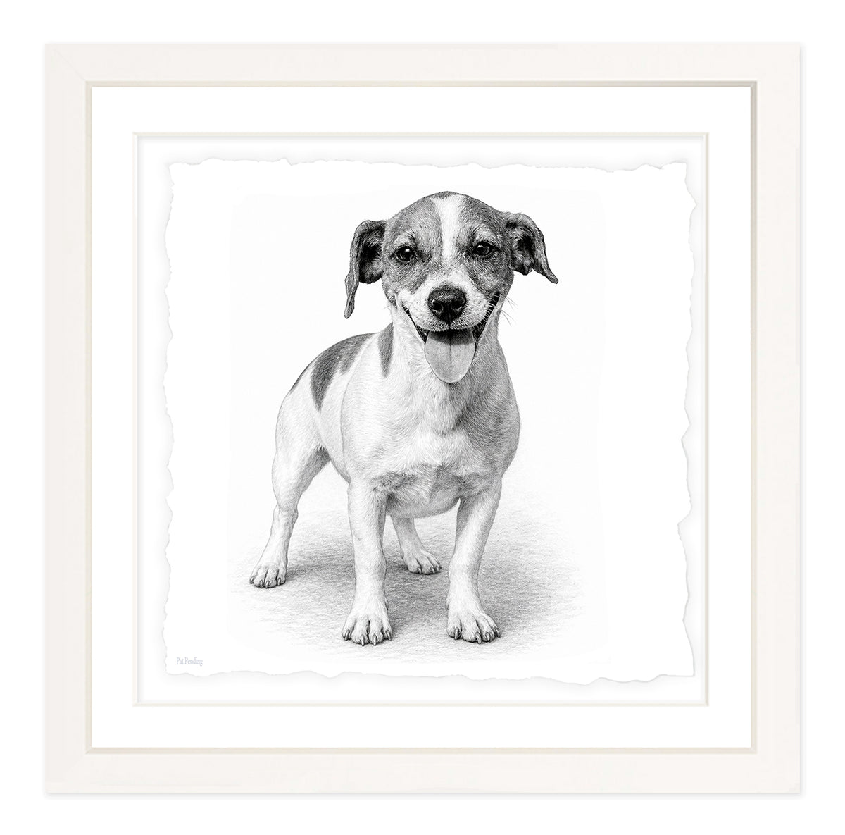 Jack Russell Terrier