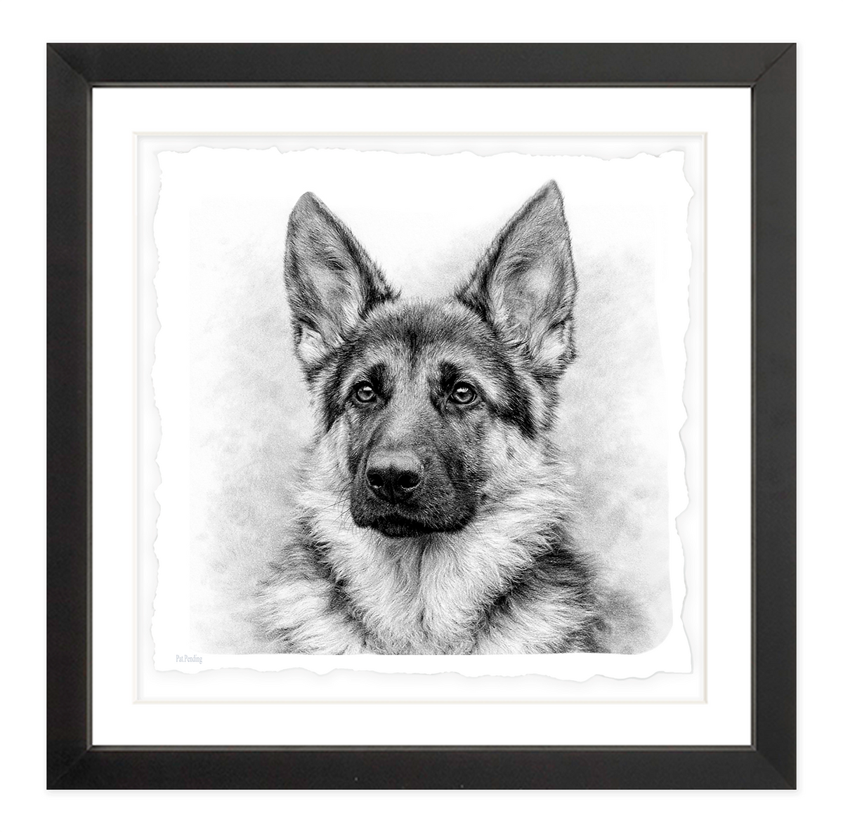 German Shepherd #2