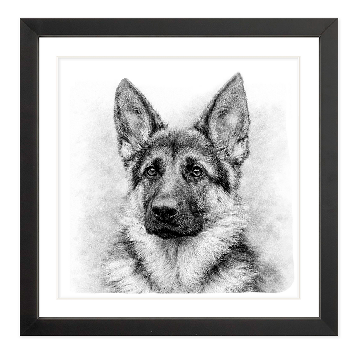 German Shepherd #2