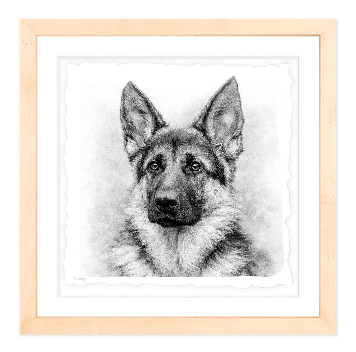 German Shepherd #2