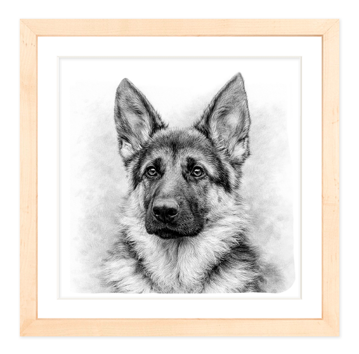 German Shepherd #2
