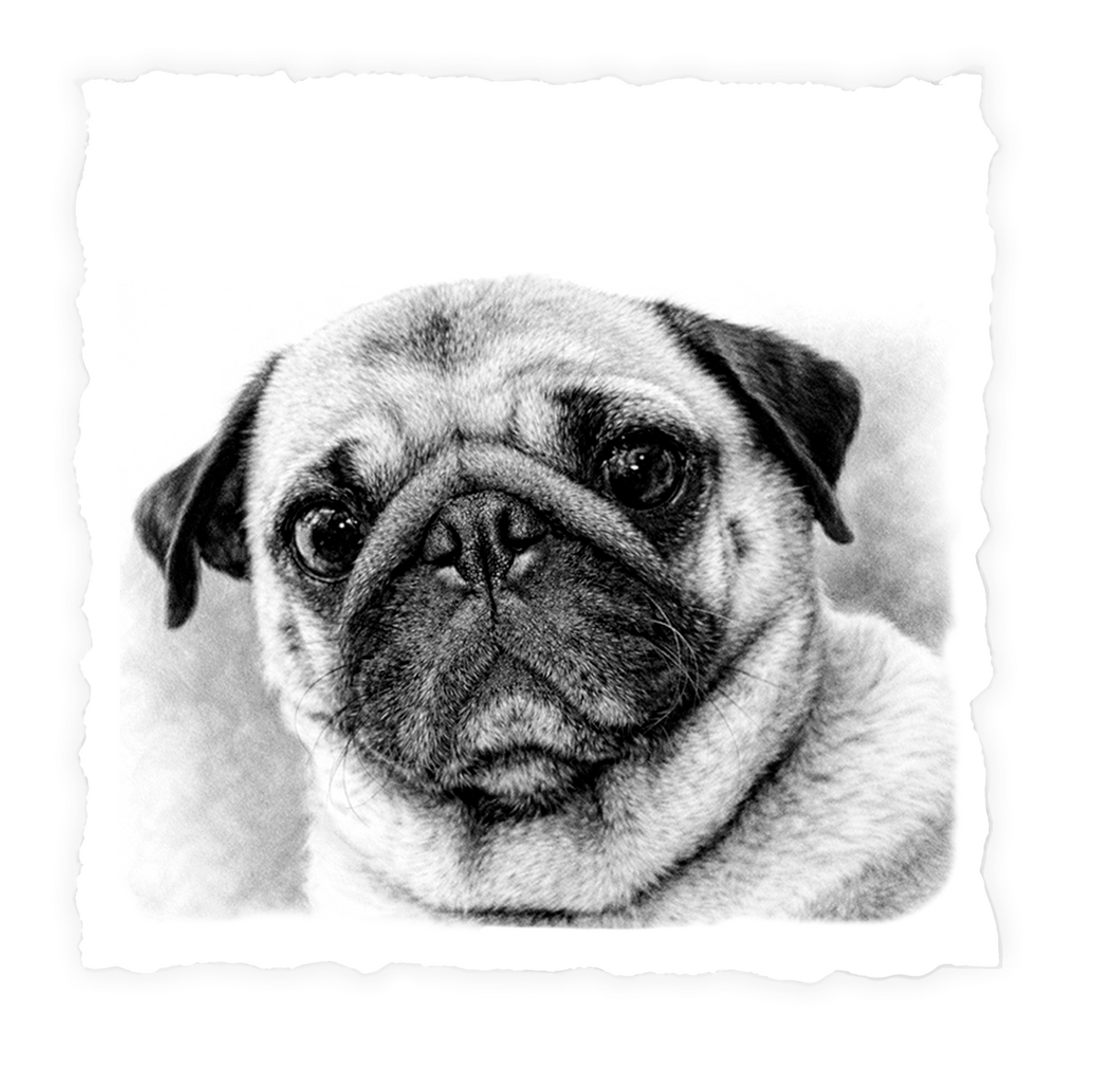 PUG