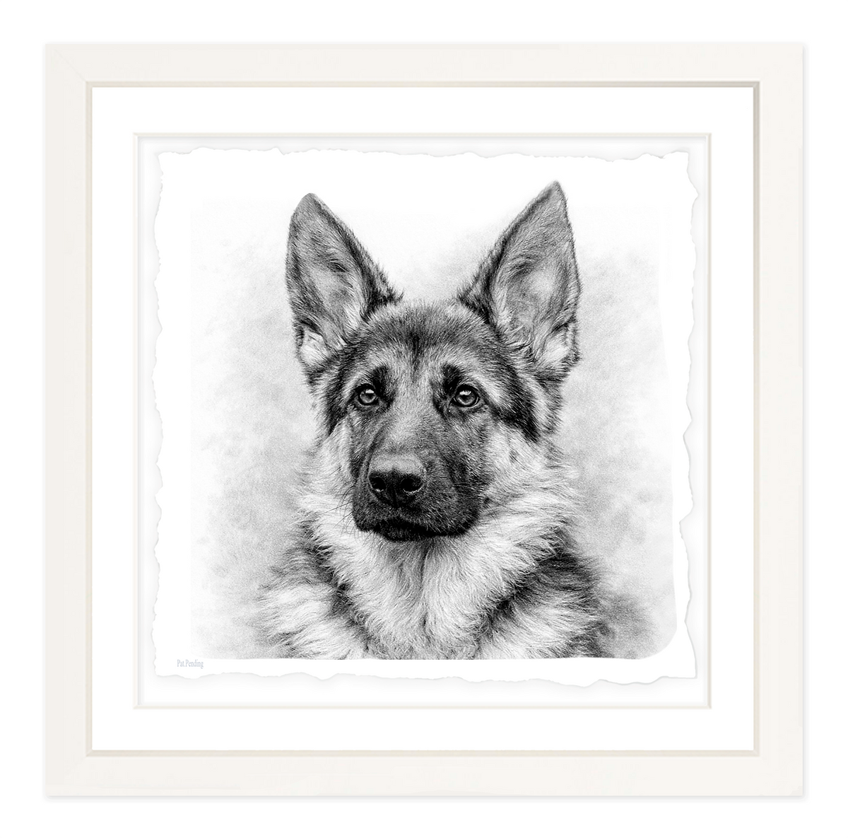 German Shepherd #2