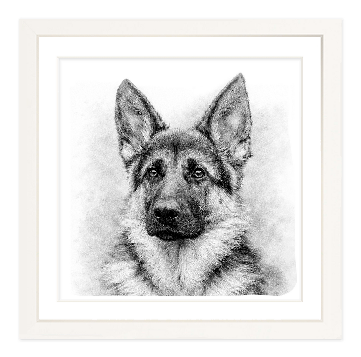 German Shepherd #2